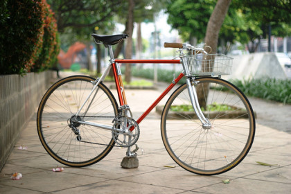 Vitus 979 Townie