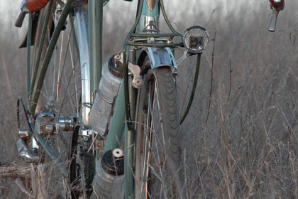 frances-diffusible-tourist-8