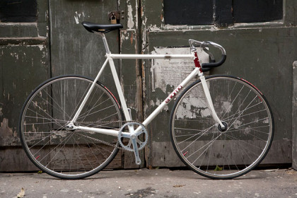 Enigma Edge 'Everest'