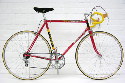 Raleigh Team Professional