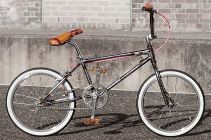 LixBMX RAWR Cobra Pro