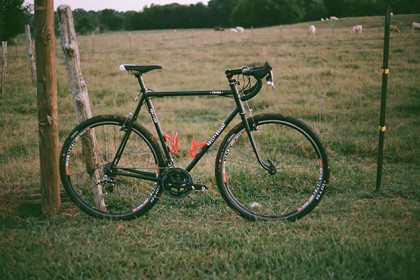 FOLLY x BRYANT FaTRoB