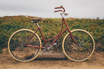 Batavus Old Dutch Leather