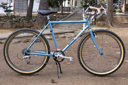 Kamiuma Harlequin: Blue Lug Surly Long Haul trucker