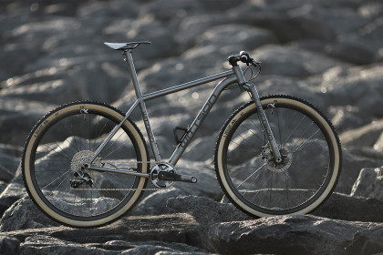 Lithuanian Lightness: Wittson Bestia 29er