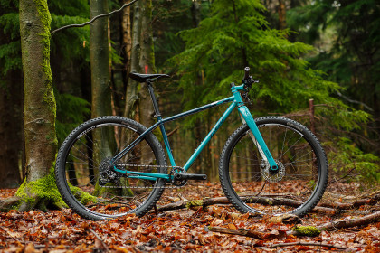 The Well-Dressed Woodsman: Andrew's 29er Field Cycles