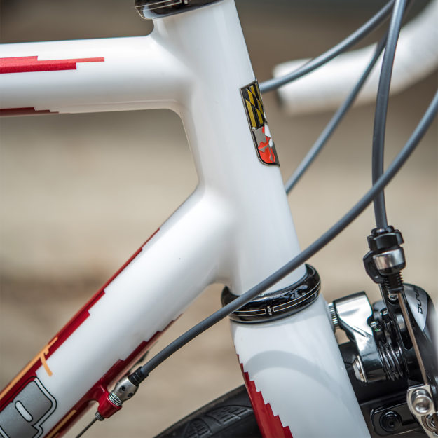 The Birds Are In The Air: Bishop Bikes x Ben Falcon Project