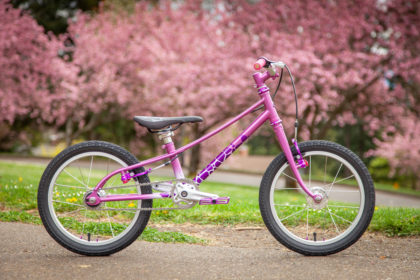 Mathilda's Giraffe By The Bland Bicycle